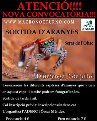 Sortida amb l'Adenc per conèixer les aranyes a la Serra de l'Obac (imatge: adenc.cat)