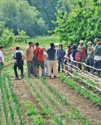 Casos d’èxit de Dinamització Local Agroecològica (imatge: dlae)