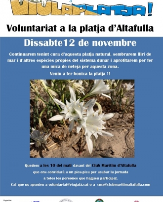 Jornada de voluntariat ambiental a la platja d'Altafulla amb l'Associació Mediambiental La Sínia  (imatge: riugaia.cat)