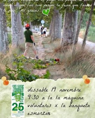 Jornada de voluntariat ambiental a  Juneda dissabte 19 de novembre (imatge: LaBanquetaDeJuneda.cat)