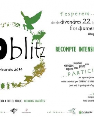 Cartell del Bioblitz que es celebra del 22 al 24 de juliol al Solsonès, amb el Centre d'Estudis Lacetans i el Grup Naturalista Osona (imatge: lacetans.org)