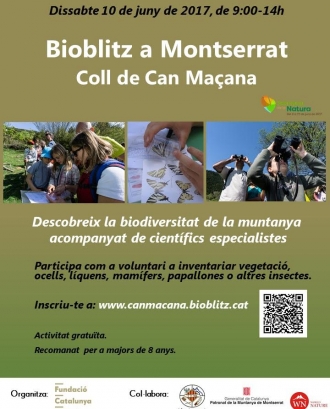 Bioblitz a la Muntanya de Montserrat per la Setmana Natura (Fundació Catalunya La Pedrera) 