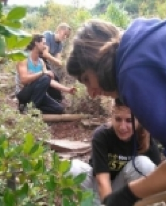 Voluntariat de Boscos Mediterranis.