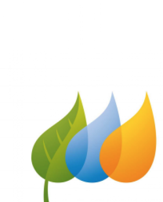 Logo Fundación Iberdrola España