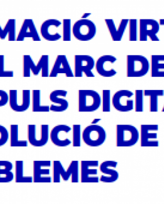 Formació virtual en el marc de l'impuls digital. Font: Federació de Cooperatives de Treball de Catalunya