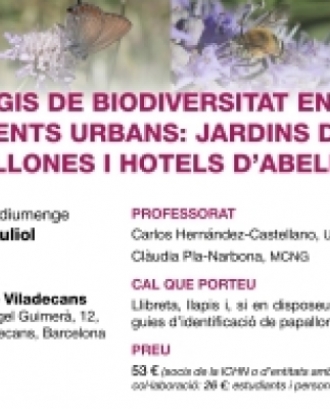 Fragment del cartell del curs 'Refugis de Biodiversitat en Ambients Urbans: Jardins de Papallones i Hotels d'Abelles'