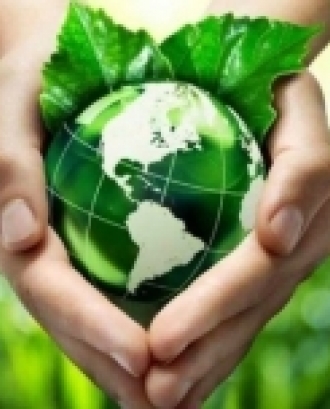  Una mà sostenint un globus terraqüi verd