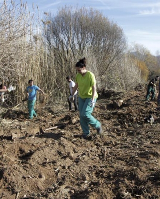 Voluntariat Ambiental amb l'Associació Cen (imatge: assoc-cen.org)