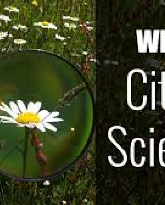 Fundesplai organitza una jornada dedicada a la ciència ciutadana 