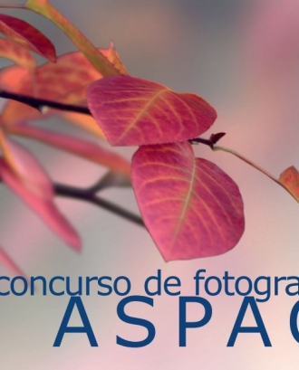 V Concurs de Fotografia ASPACE