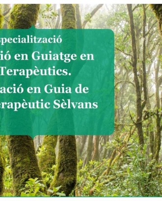 Formació en Guiatge en Boscos Terapèutics. Certificació en Guia de Bosc Terapèutic Sèlvans.