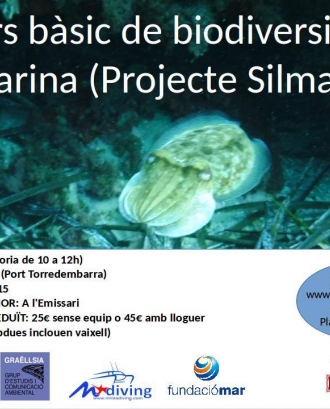Curs bàsic de Biodiversitat Marina per a voluntaris del projecte Silmar (imatge: Graëllsia)