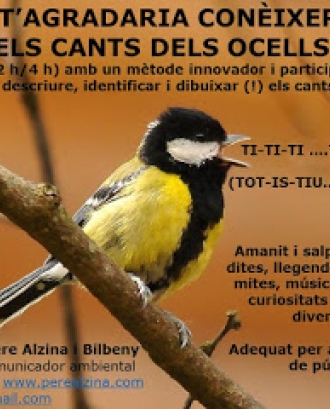 Curs de cant d'Ocells organitzat per ICO amb Pere Alzina (imatge: ornitologia.org)