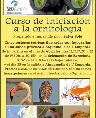 Curs d'iniciació a l'ornitologia amb Seo Bird Life Catalunya (imatge:glseobarcelona.com)