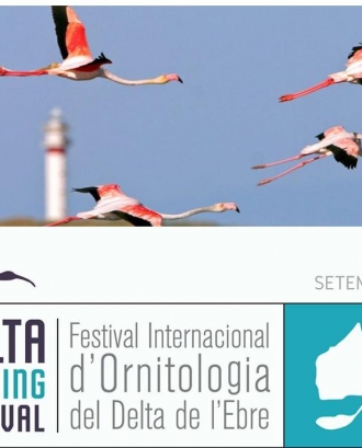 Del 23 al 25 de setembre es celebra el Delta Birding Festival al Delta de l'Ebre (imatge: deltabirdingfestival)