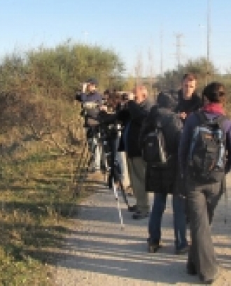 Desena marató ornitològica de Depana al Delta del LLobregat (imatge:Depana.org) 