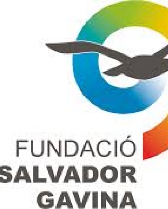 Logotip de la Fundació Joan Salvador Gavina. Font: Fundació Joan Salvador Gavina