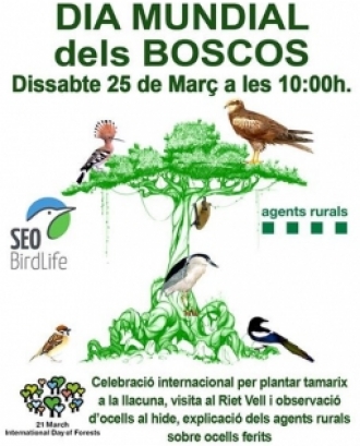 Dia mundial dels Boscos a Riet Vell (imatge: Riet vell) 