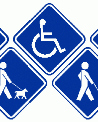 'Discapacidad y derechos humanos'