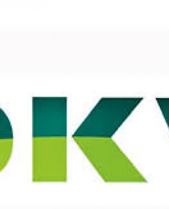 Logotip DKV Seguros