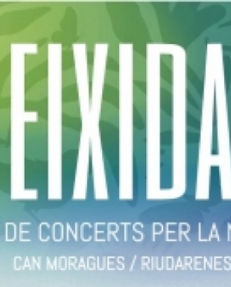 Fragment del cartell oficial dels concerts benèfics Eixida. Font: Fundació Emys