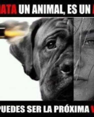 Encontres Animal: Violència contra els animals i violència interpersonal