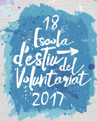 Cartell de la formació: Font Voluntariat.org