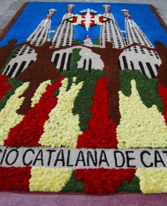 Catifa feta per la Federació Catalana de Catifaires