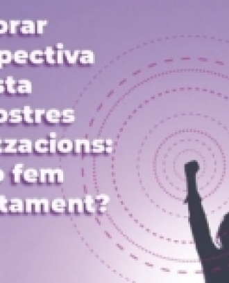 Incorporar la perspectiva feminista a les nostres organitzacions: com ho fem concretament? Font: Ateneu Cooperatiu del Vallès Occidental.