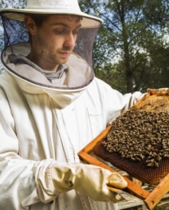Un apicultor mostrant la seva feina, com a representació de la Festa Arrels. Font: Revista Arrels.