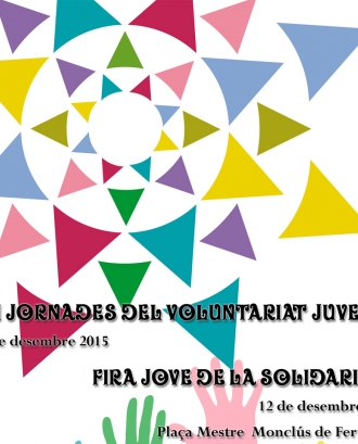 Fira Jove de la solidaritat 2015 a Tortosa