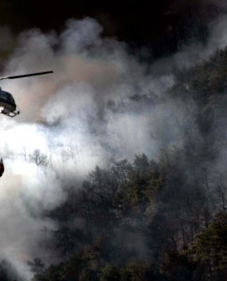 Subvencions a actuacions en matèria forestal i de prevenció d'incendis forestals 2020