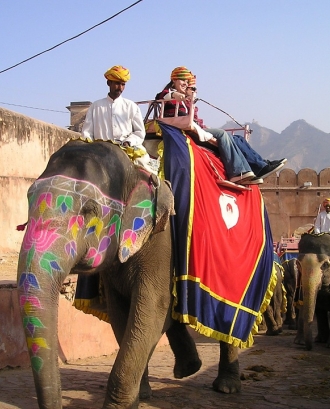 Elefant indi. Font: Pixabay