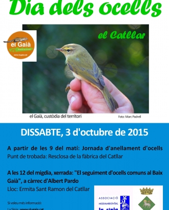 Dia Mundial dels Ocells amb l'Associació Mediambiental La Sinia (imatge: Assoc.Mediamb.La Sinia)