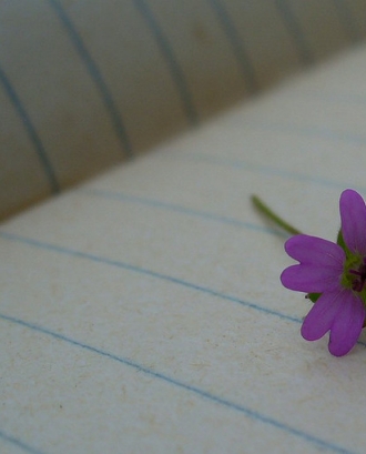 Llibreta de notes amb una flor_Manel_Flickr