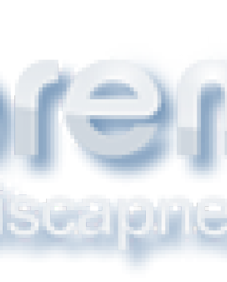 Logotip Premis Discapnet
