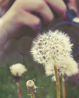 Make a Wish - Colton Witt Photography - Flickr