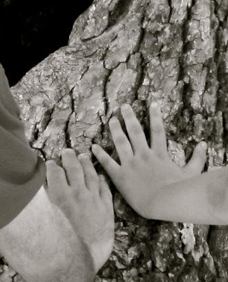 Mans unides sobre un arbre. Solidaritat_la veu de Nanuk_Flickr