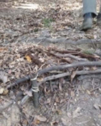 Exemple d'un tros de coberta vegetal malmesa al parc natural del Montseny. Font: Coordinadora per a la Salvaguarda del Montseny