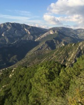 Imatge de l'entorn de la Muntanya d'Alinyà (imatge: fundaciocatalunya-lapedrera.cat)