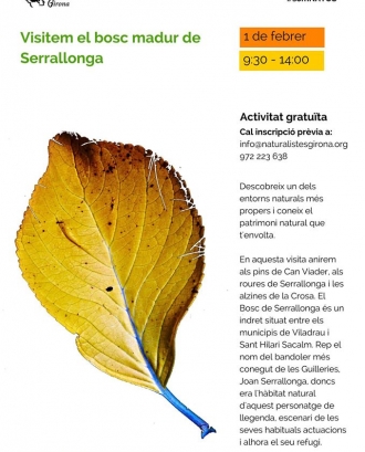 L'Associació de Naturalistes de Girona i Acció Natura t'ensenyen els valors dels boscos madurs (imatge:naturalistesgirona.org)