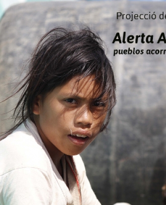 Amazònia: extractivisme i energia. Una mirada geopolítica