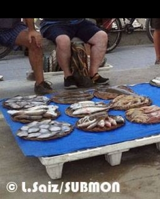 Consumir peix de forma sostenible és possible amb el Peix de Custòdia (imatge:Submon)