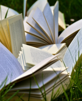 Llibres sobre un camp de gespa. Font: Pixabay