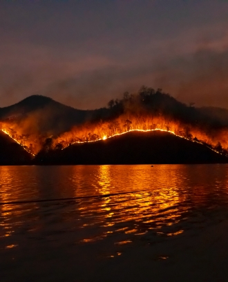 Foc al bosc amb llac a primer pla. Font: Pexels-  Sippakorn Yamkasikorn