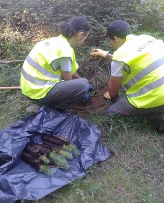 Voluntaris plantant arbres. (Imatge: Cercle Voluntaris Parcs Naturals)