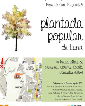 Cartell de la Plantada Popular de Tiana d'enguany (imatge:facebook/mediambient.tiana)