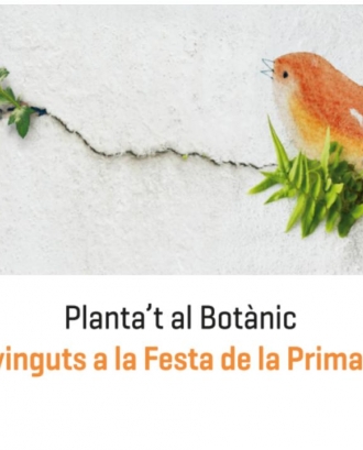 Festa Planta't al Parc al Jardí Botànic de Barcelona (imatge: Jardí Botànic de Barcelona)