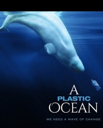 Projecció del film "A Plastic Ocean" durant el Ficma (imatge: Plastic Ocean)