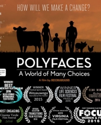 Estrena a Ficma de Polyfaces, dimecres 9 de novembre als Cinemes Girona (imatge: polyfaces) 